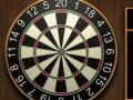 Darts 301